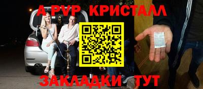 стаф Камышлов