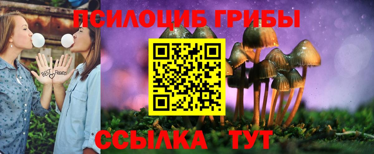 Псилоцибиновые грибы мицелий  Вход с VPN  Красноуфимск 