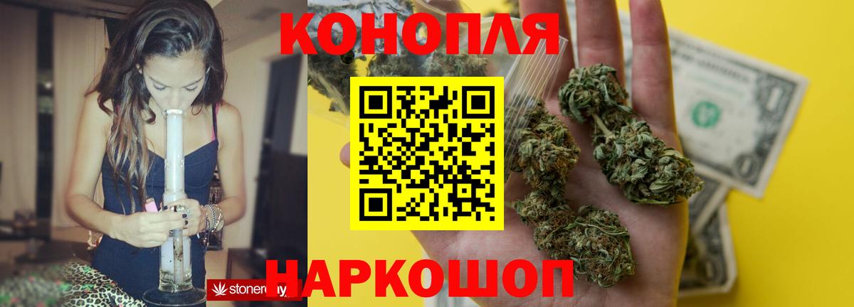 Конопля гибрид Красноуфимск
